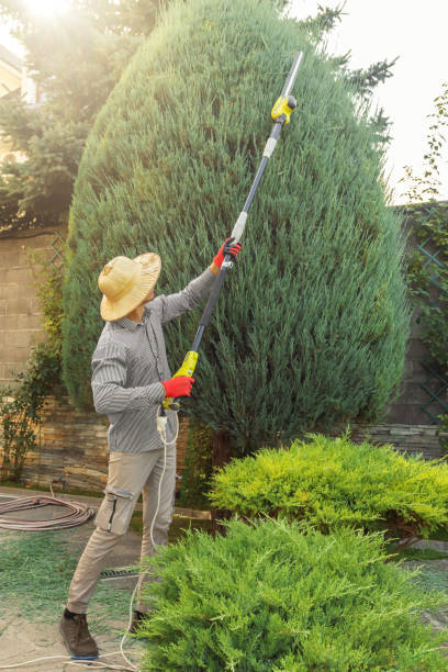 Lawn Grading and Leveling in Elmwood Park, IL